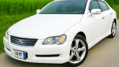 toyota mark x 2004