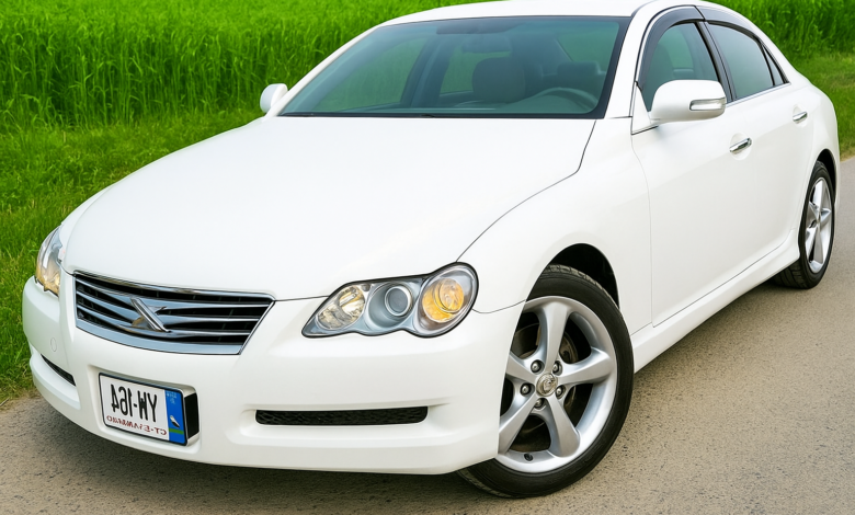 toyota mark x 2004