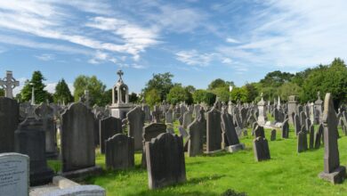 Leevy Funeral Home Obituaries