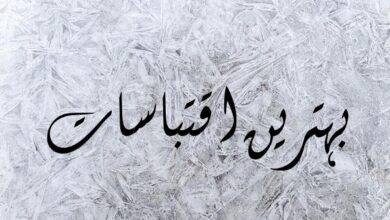 best quotes in urdu