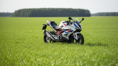 bmw 310 rr