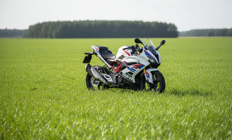 bmw 310 rr