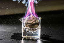 most electroposive elements cesium and francium